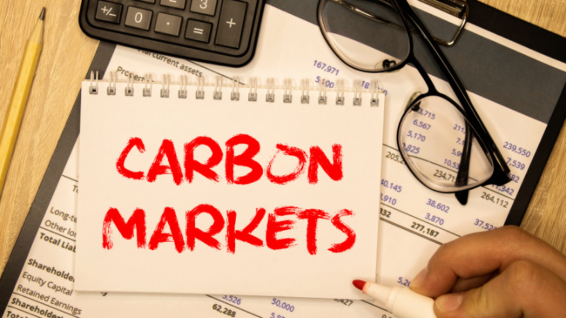 O mercado de carbono é uma oportunidade estratégica para o agro, segundo Aldo Vendramin.