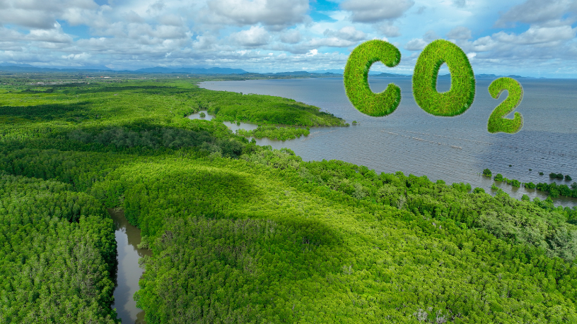 Descubra com Luciano Guimaraes Tebar os impactos da evolução dos créditos de carbono nas operações internacionais.